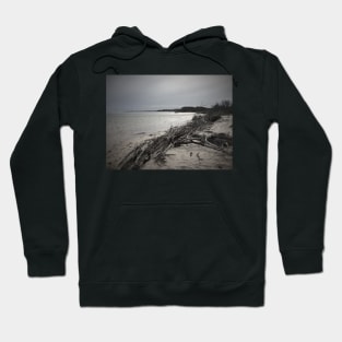 Driftwood Hoodie